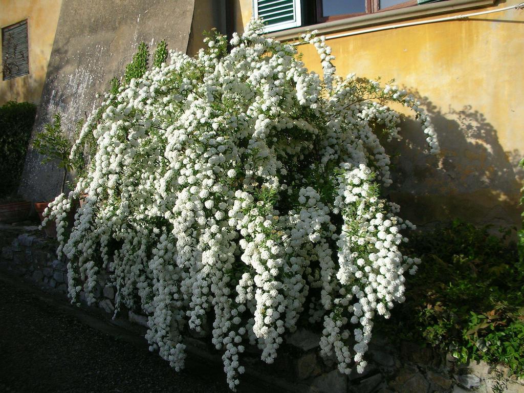Locanda Giolica Prato  Buitenkant foto